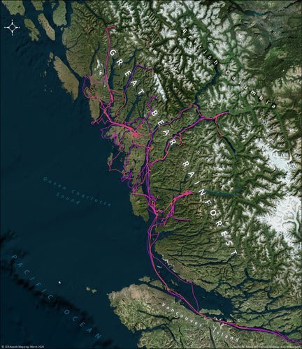 Sailing Tracklog Map in QGIS - www.cdedwards.com