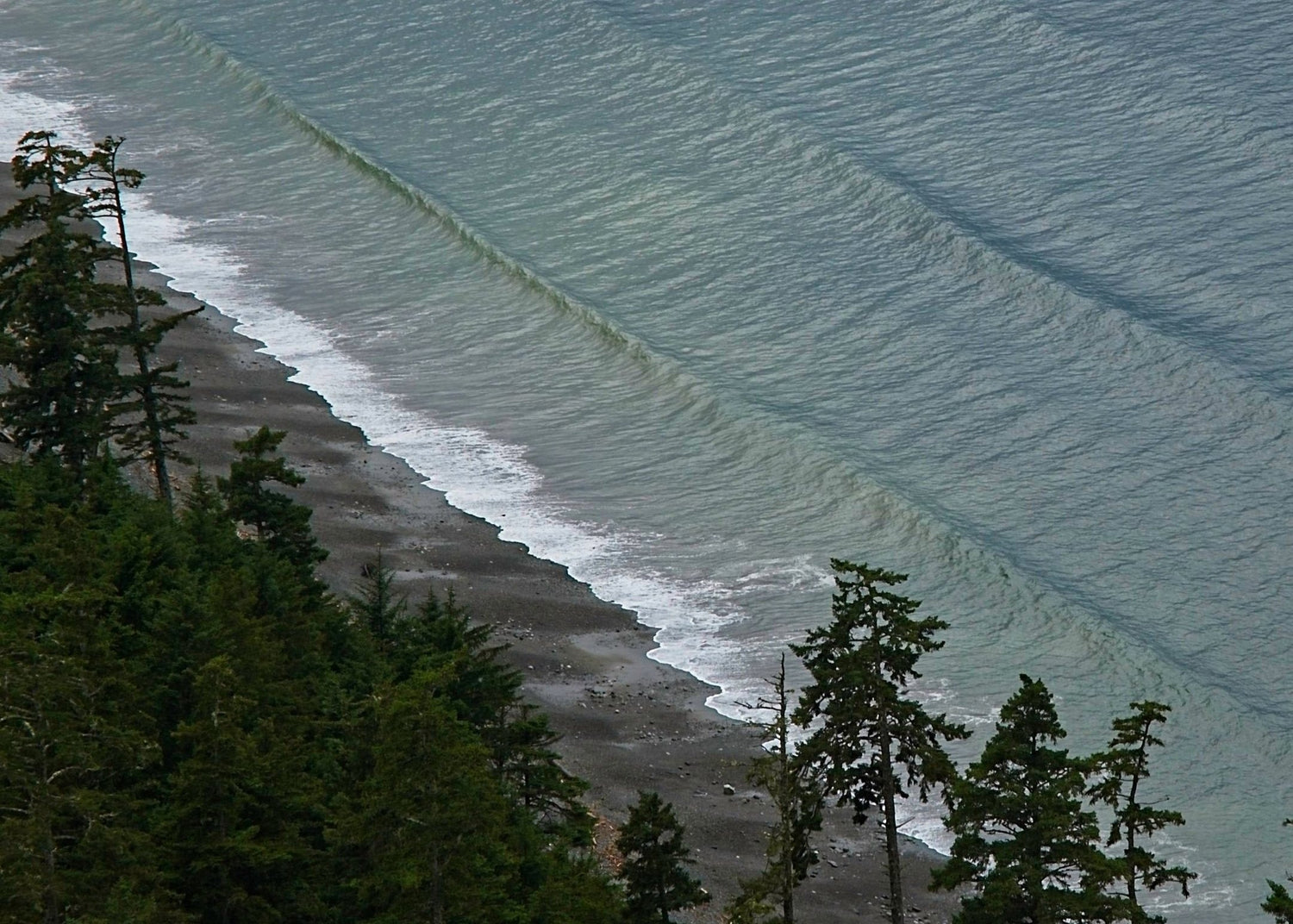 Looking down on a tree-lined rocky seashore in British Columbia with waves breaking on the beach. 