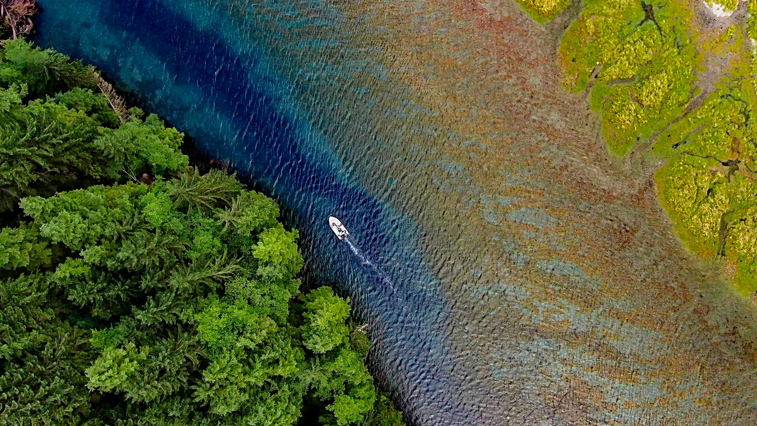 Drone image looking down on a small aluminum fishing boat moving through a shallow channel