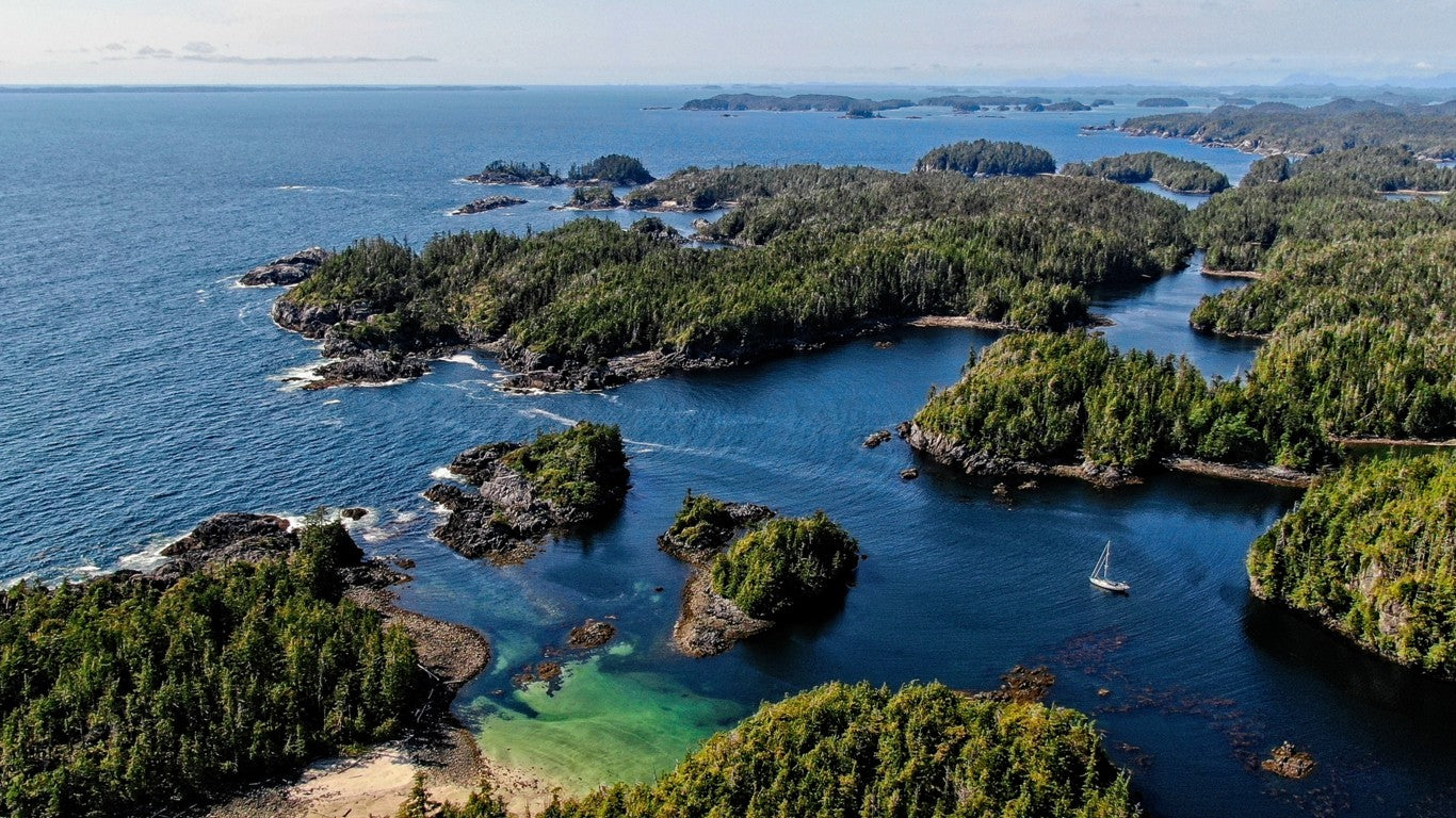 A rugged British Columbia coastline, seen from a drone, with a sailboat at anchor. Sunny day, green trees, blue ocean.